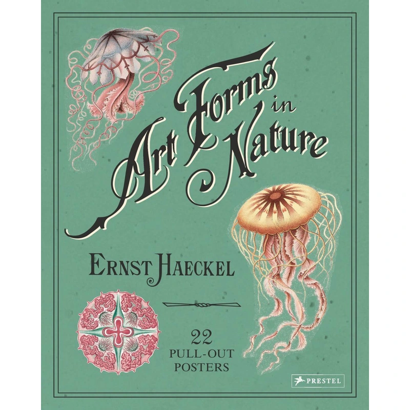 Art Forms in Nature | The Art of Ernst Haeckel